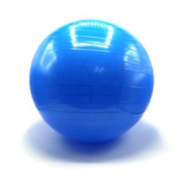 다이어트짐볼(65cm) 파랑