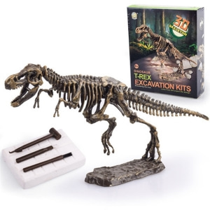 공룡화석 발굴키트(대)