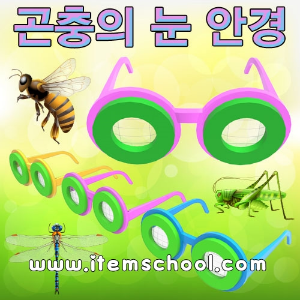 곤충의눈안경만들기(1인용)
