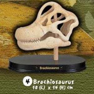 공룡두개골발굴 - 브라키오사우루스(대형) [DSL4]