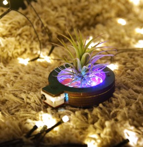 LED 공기 정화 화분만들기 이오난사화분만들기