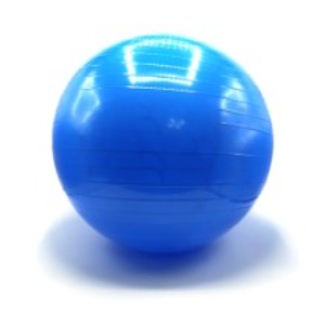 다이어트짐볼(65cm) 파랑
