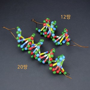 두루마리 DNA 20쌍 4명 set