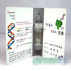DNA추출 I 식물세포 4인