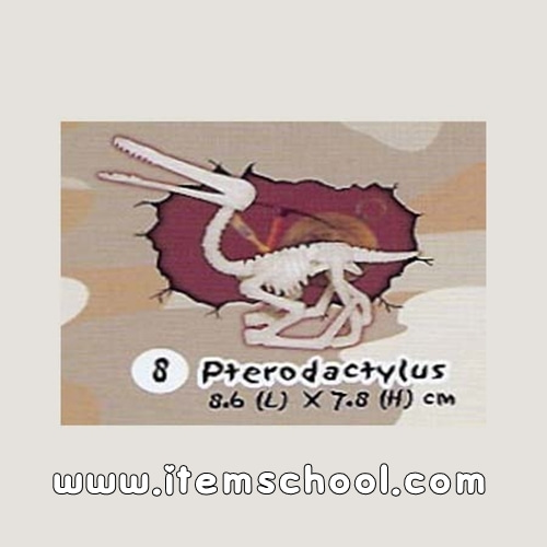 미니공룡뼈발굴 - 프테로닥티루스 [SDS8]
