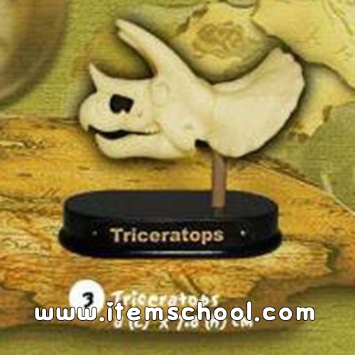 공룡두개골발굴 - 트리케라톱스(소형) [DSS3]