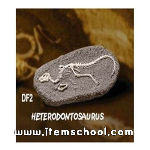 공룡화석발굴 - 헤테로돈토사우루스[DF2]