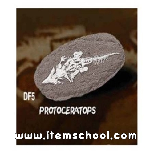 공룡화석발굴 -프로토세라톱스[DF5]