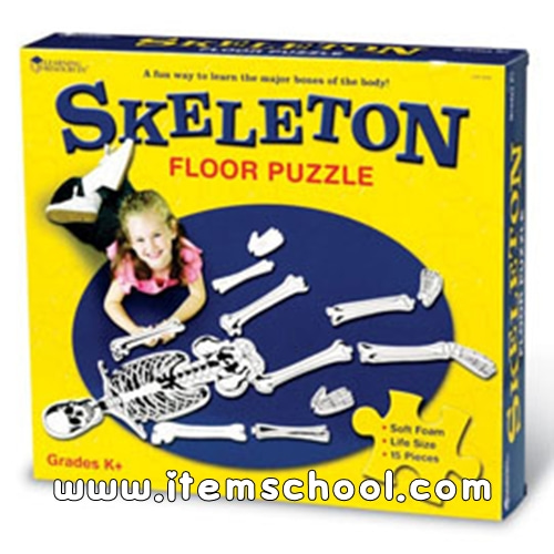 인체 골격 대형 퍼즐 Skeleton Floor Puzzle(영문)