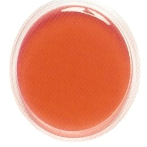 세균배양배지-Rodac Plate 황색포도상구균용 50ea/Box