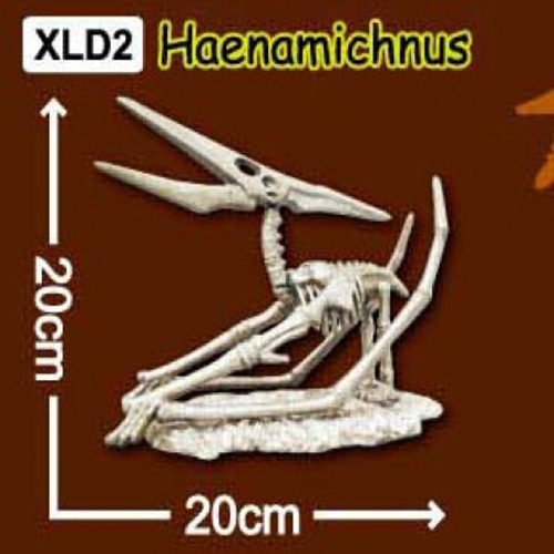 한반도공룡뼈발굴(특대형) - 해남이쿠스 [XLD2]